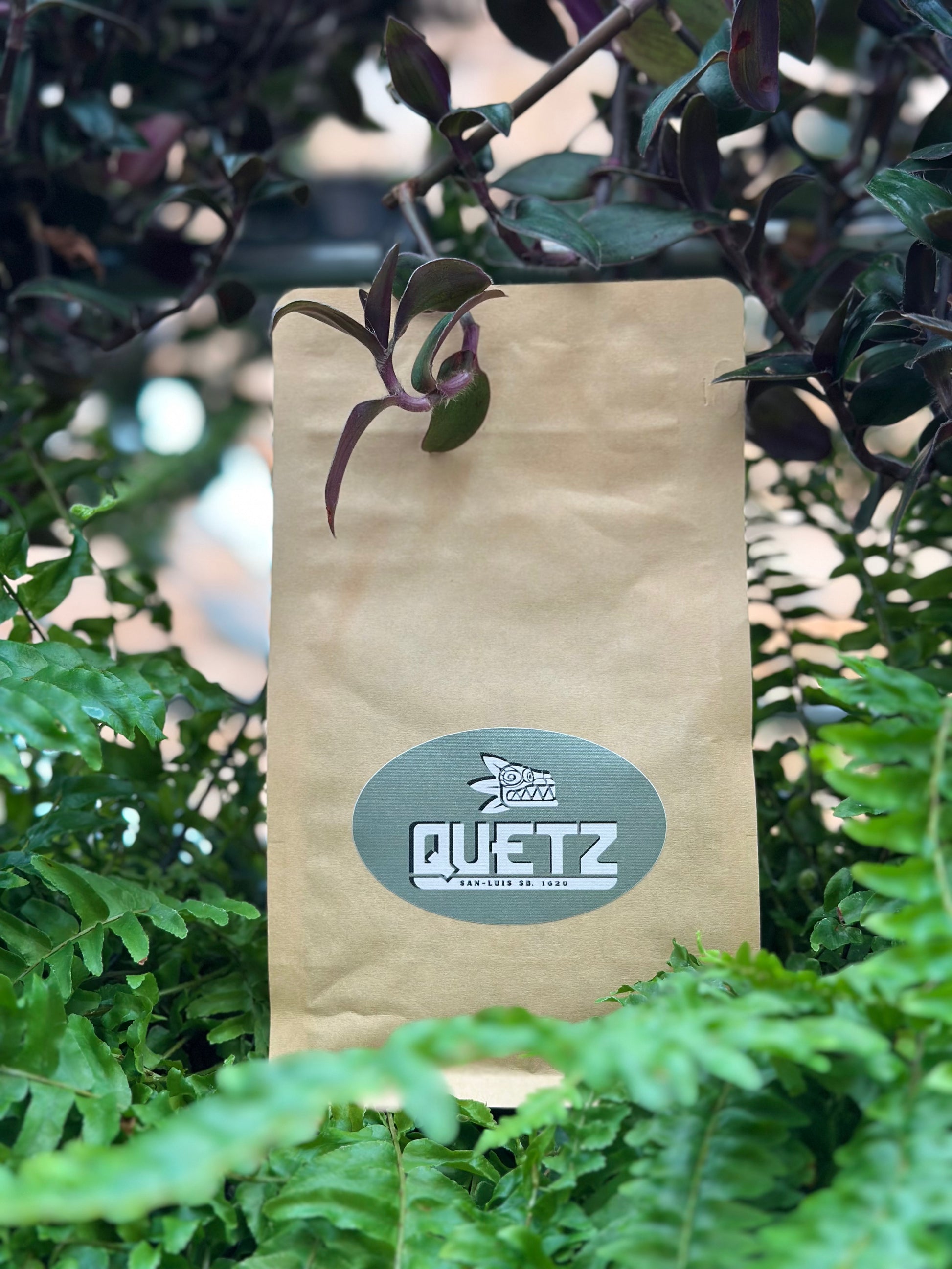 Ethiopische Koffie Quetz