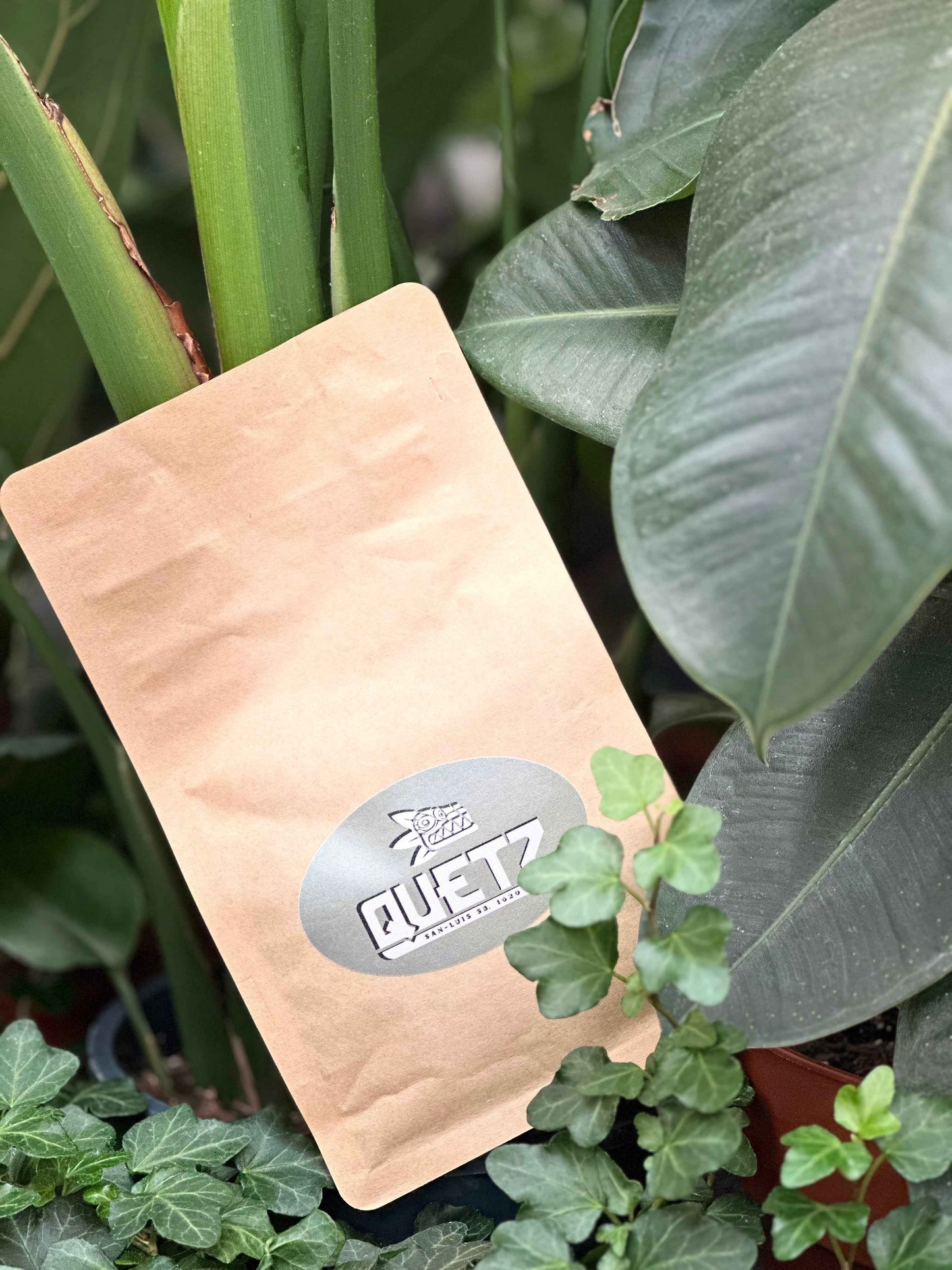 Sakami Gloria Arabica | Kenian Coffee