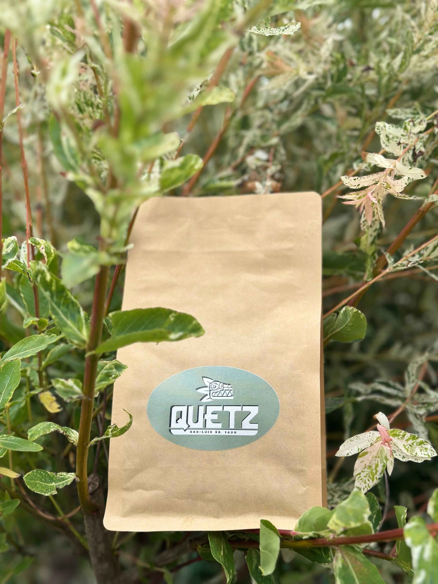 Verpakking van Capricornio Timbo koffiebonen uit Brazilië op een lichte achtergrond, tonend het authentieke label van deze specialty coffee.
